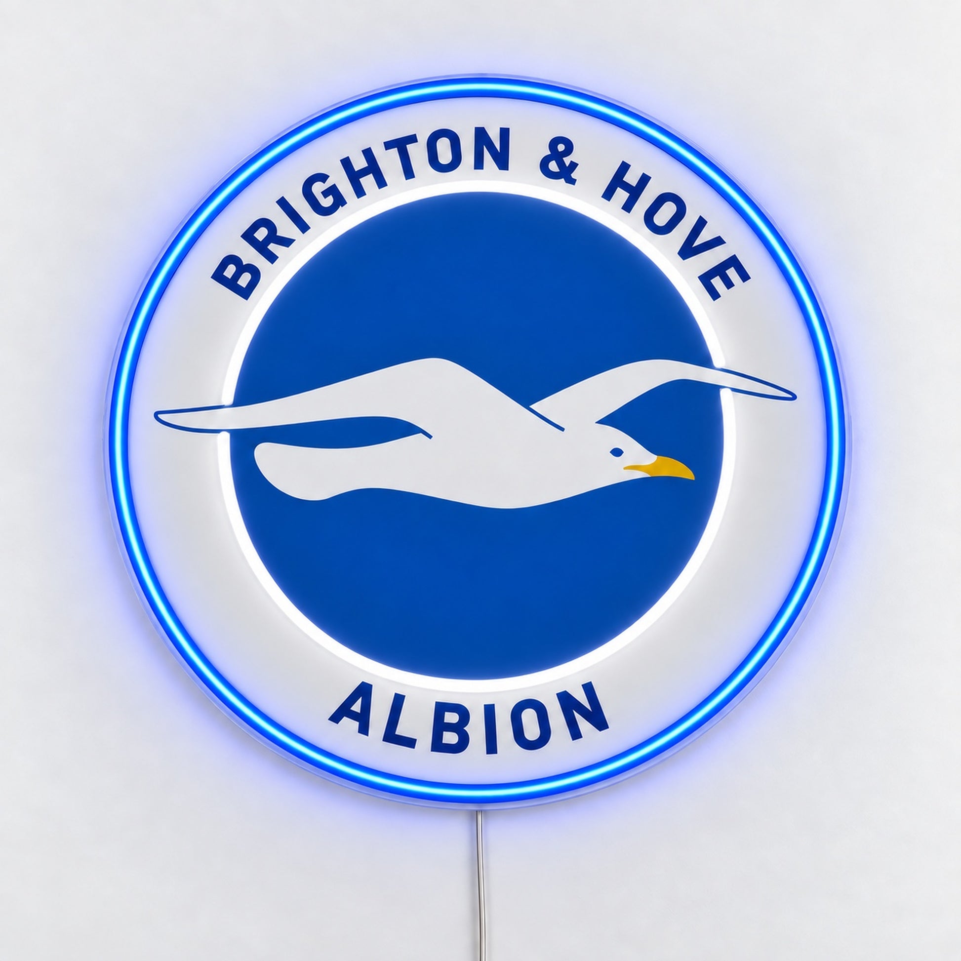 Brighton and Hove Albion LED Neon Sign