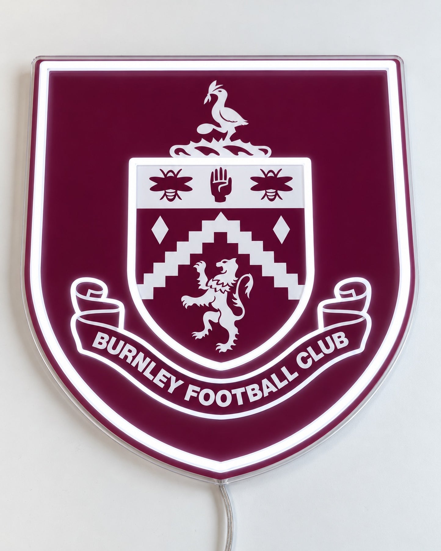 Burnley LED Neon Sign, flat lay