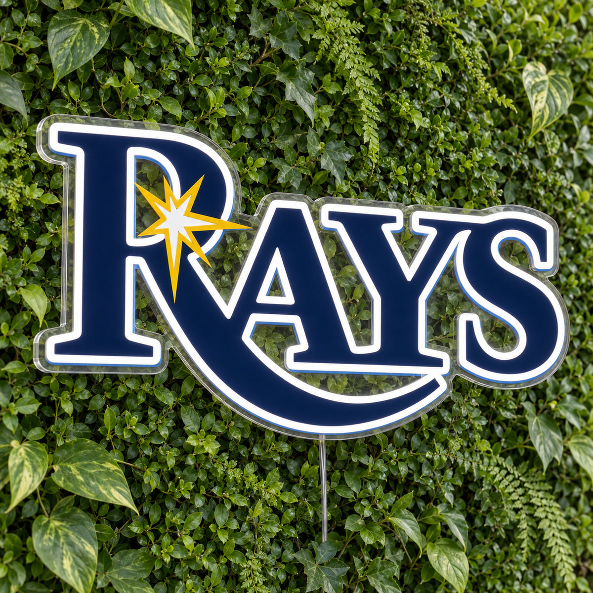 Tampa Bay Rays LED Neon Sign, featuring illuminated team logo on a green foliage wall.